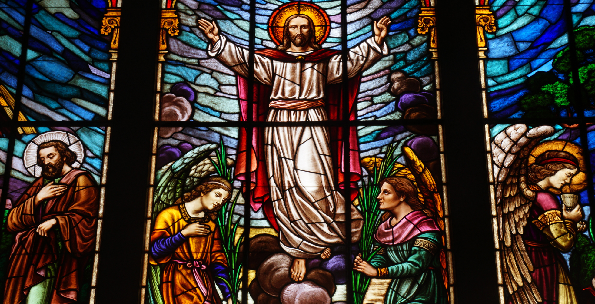 Rooted in Promise: Celebrate Advent at Home with the Jesse Tree Tradition